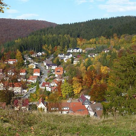 Pension Rheingold Garni バート・グランド エクステリア 写真