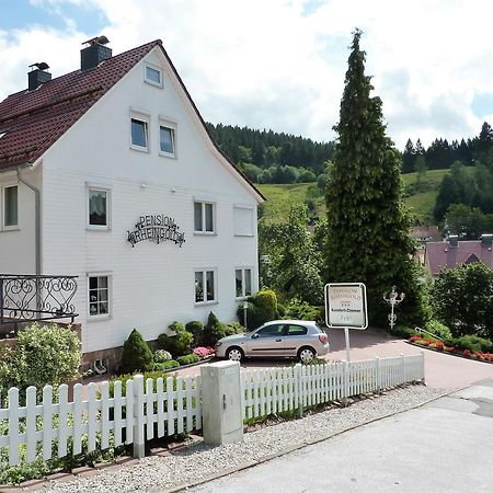 Pension Rheingold Garni バート・グランド エクステリア 写真