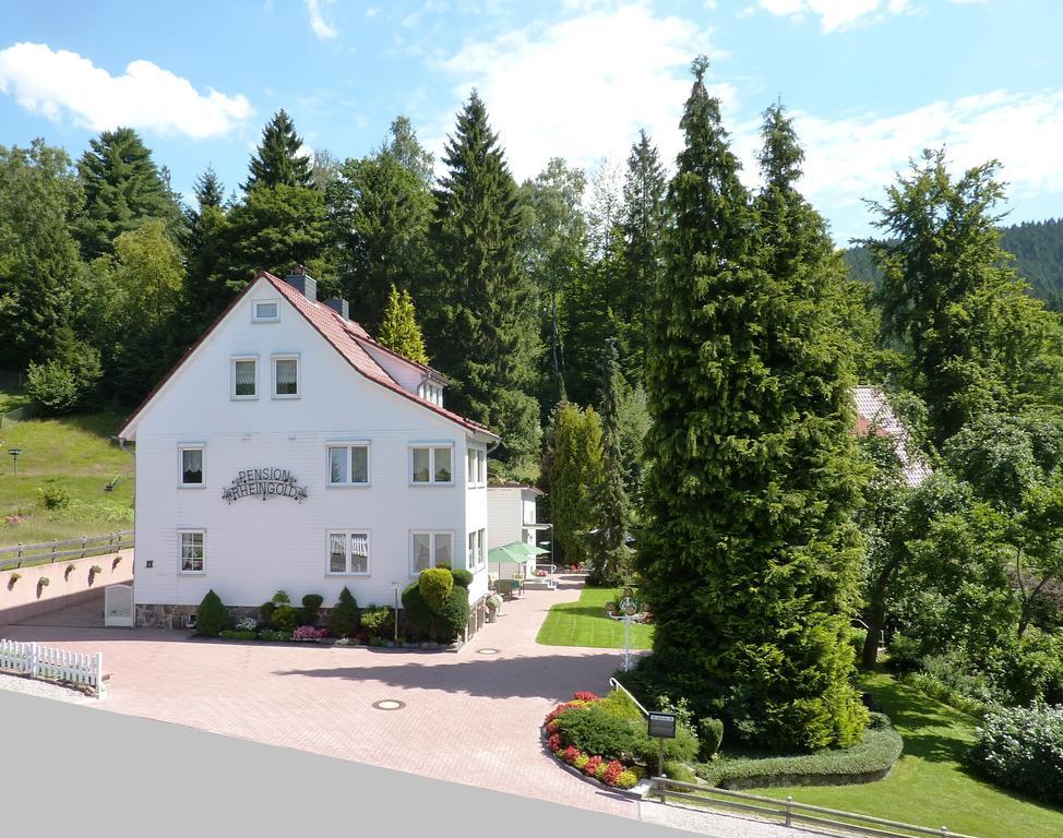 Pension Rheingold Garni バート・グランド エクステリア 写真
