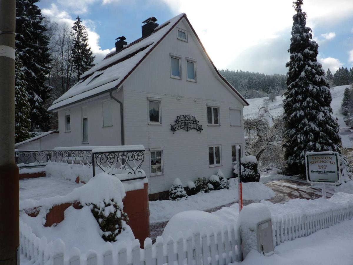 Pension Rheingold Garni バート・グランド エクステリア 写真
